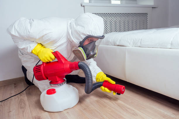 Best Pest Prevention Services  in Newcastle, WA